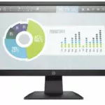 HP P204v 19.5-inch Monitor